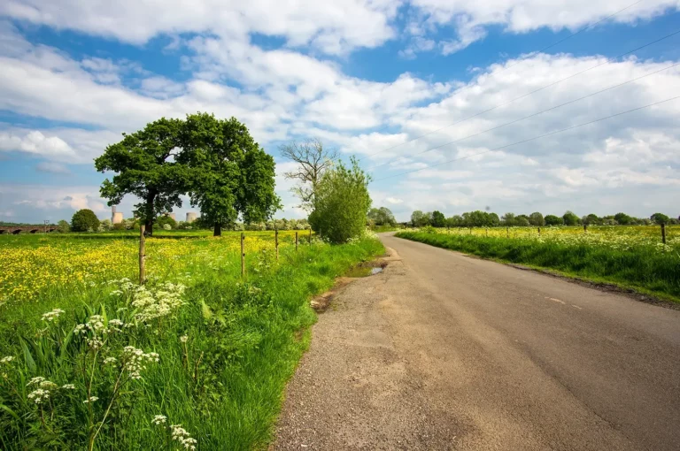 Eine Landstraße für den landwirtschaftlichen Wegebau schlängelt sich an Feldern und dem blauen Himmel vorbei.